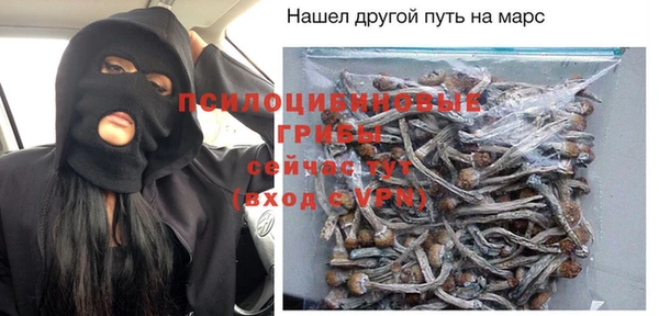 бошки Туринск