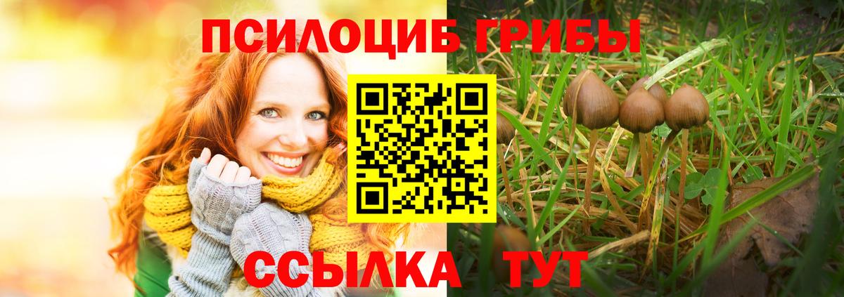Псилоцибиновые грибы мицелий Киров