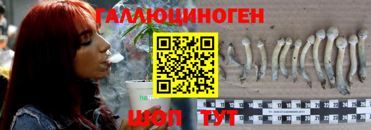 Псилоцибиновые грибы MAGIC MUSHROOMS  Галлюциногенные грибы прущие грибы  Вход с VPN  Киров 